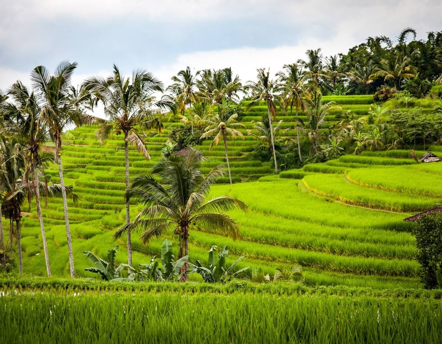 Escapada rápida a Bali de 3 noches